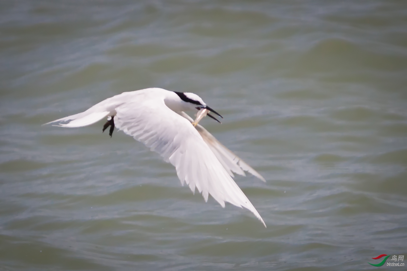 ϲ��  ��ʦ�����ڸ���ʡ������.jpg