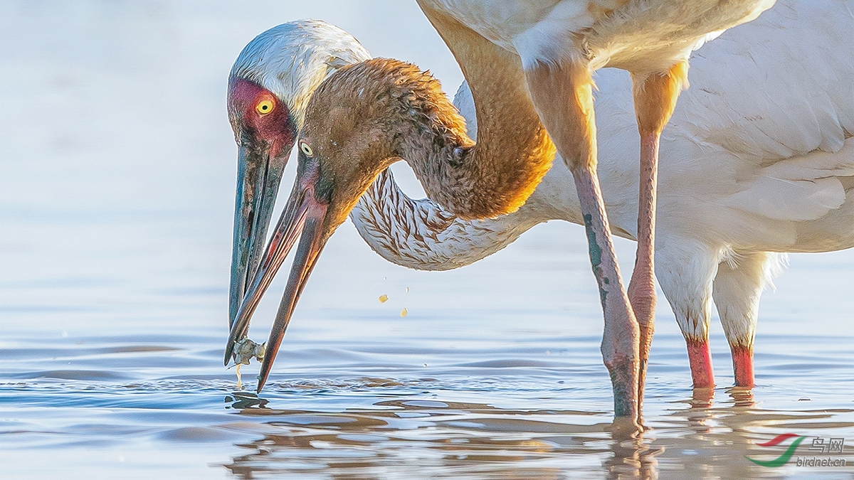 ����΢��ʮ������׹��� ����.jpg