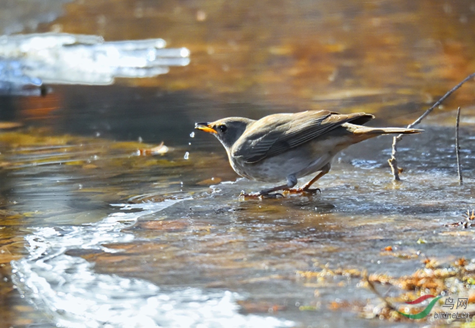 DSC_8418_00001-01-P-2.jpg