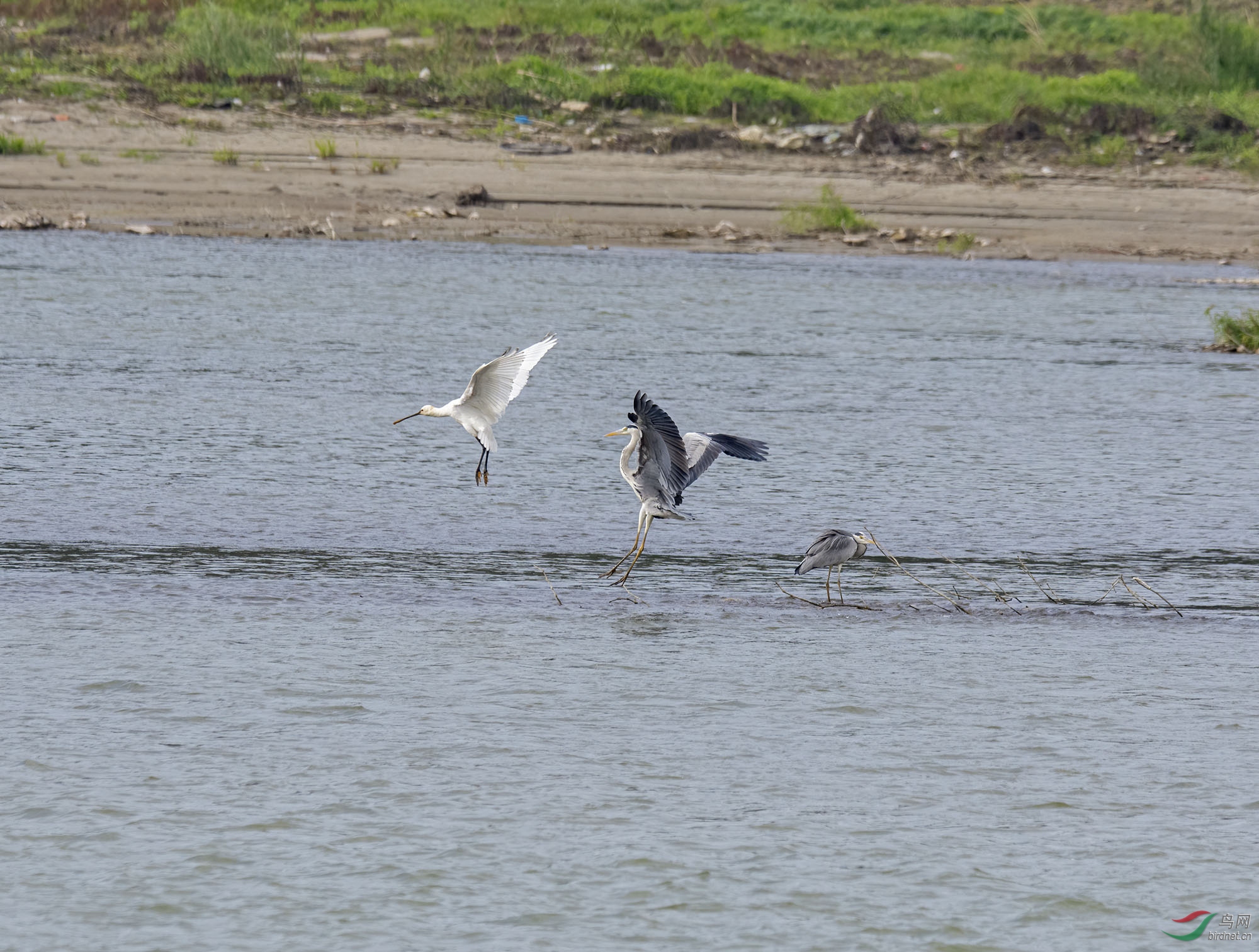 DSC_6075.jpg