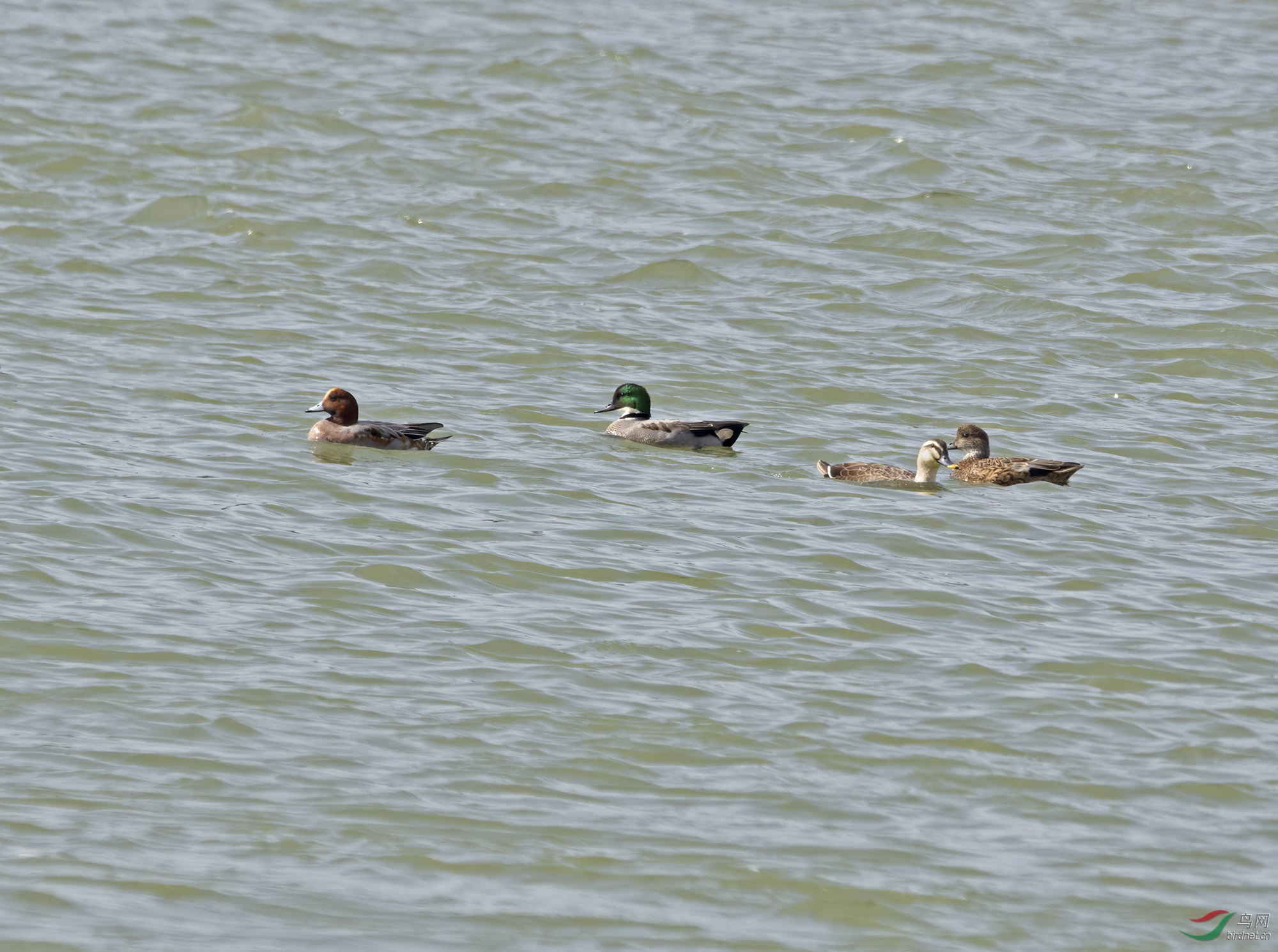 DSC_6221.jpg