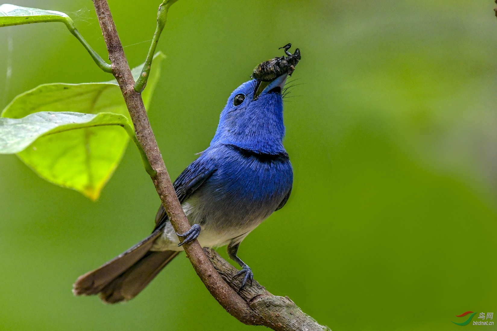 DSC_062.jpg