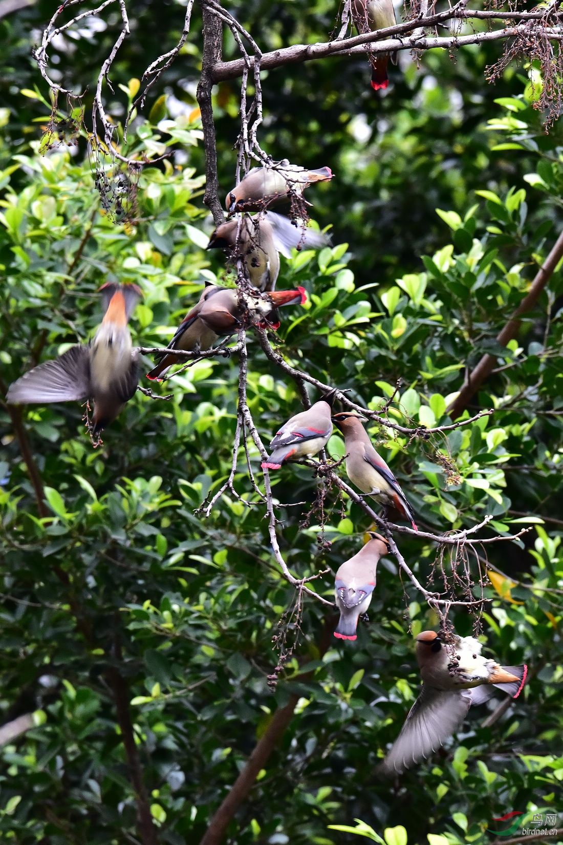 DSC_1303.JPG