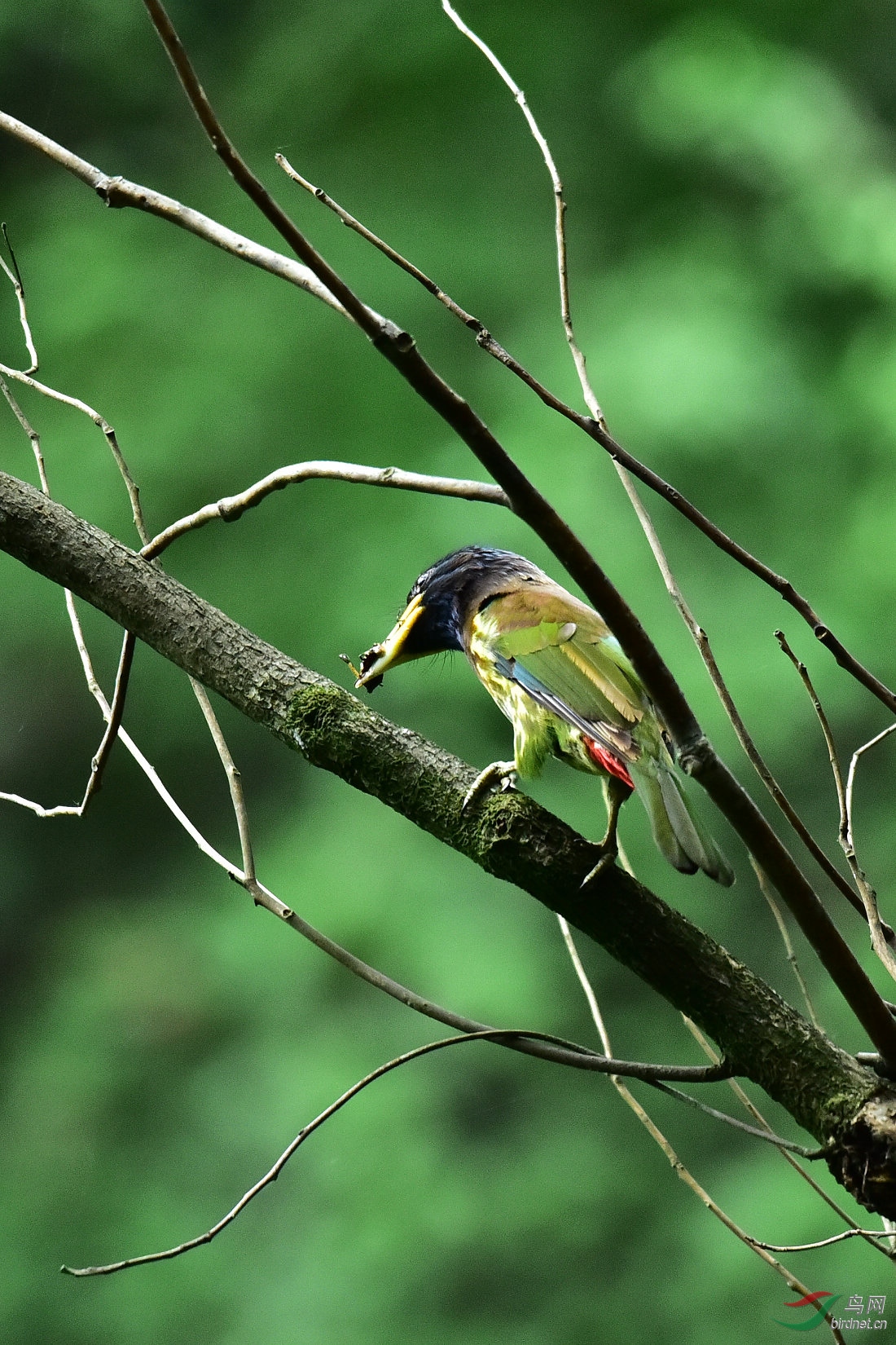 DSC_0150.JPG