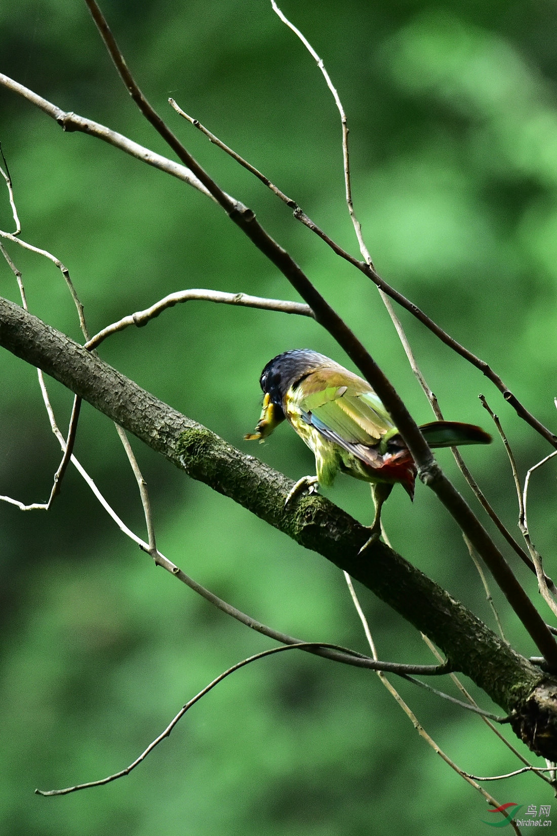 DSC_0151.JPG