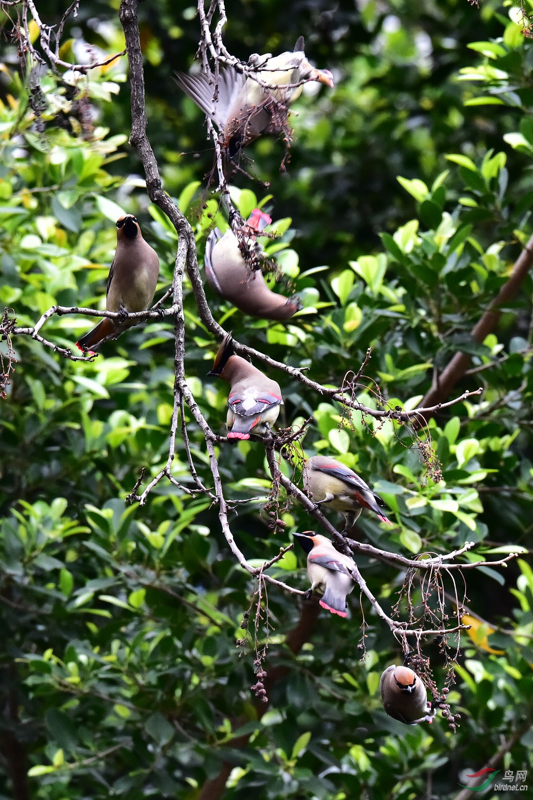 DSC_1309.JPG