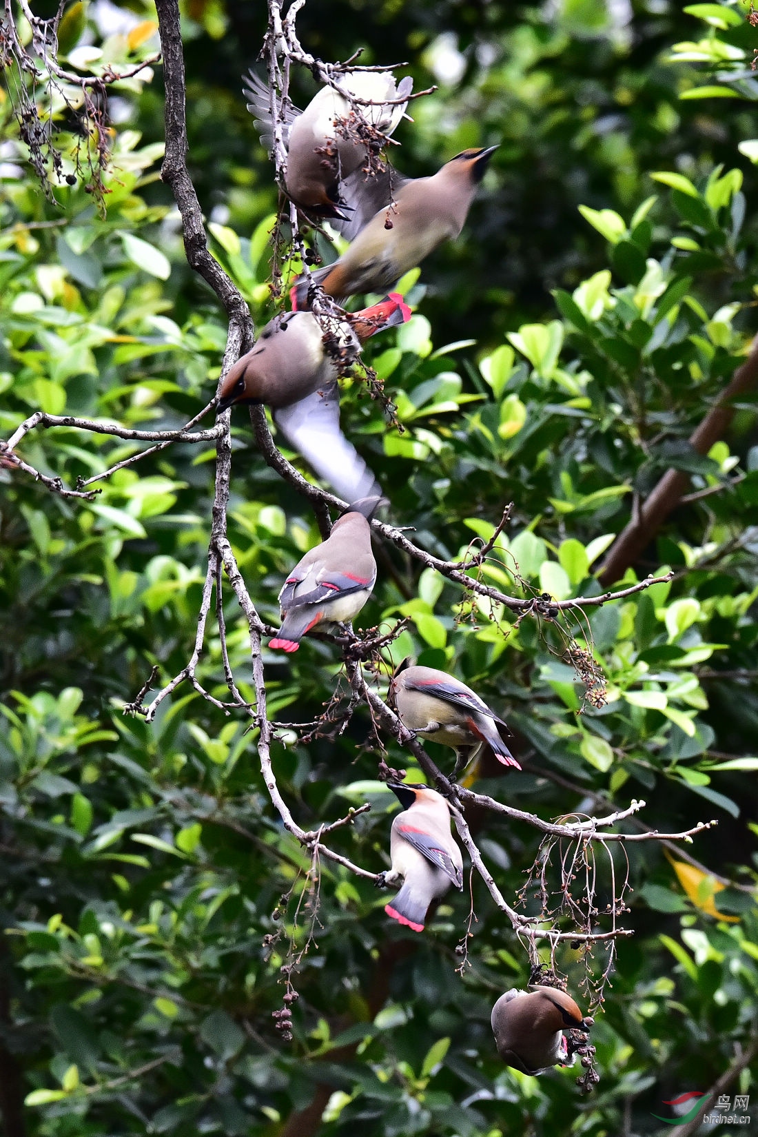DSC_1310.JPG
