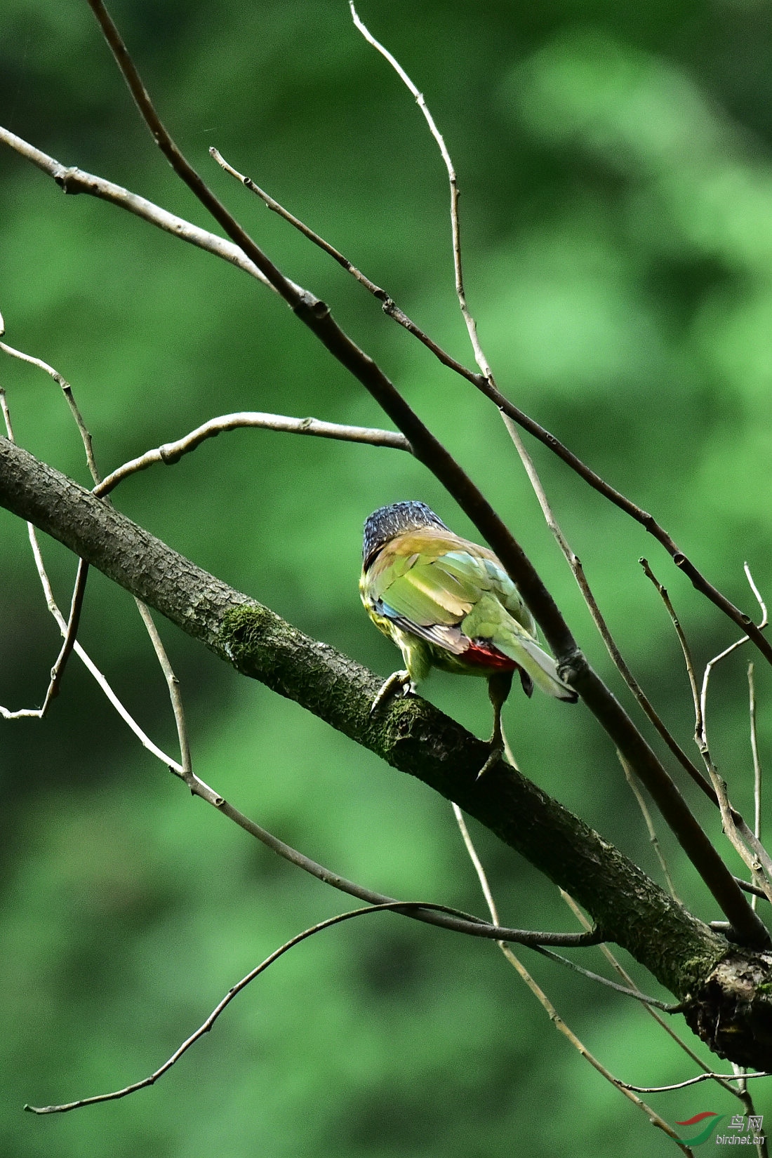 DSC_0153.JPG
