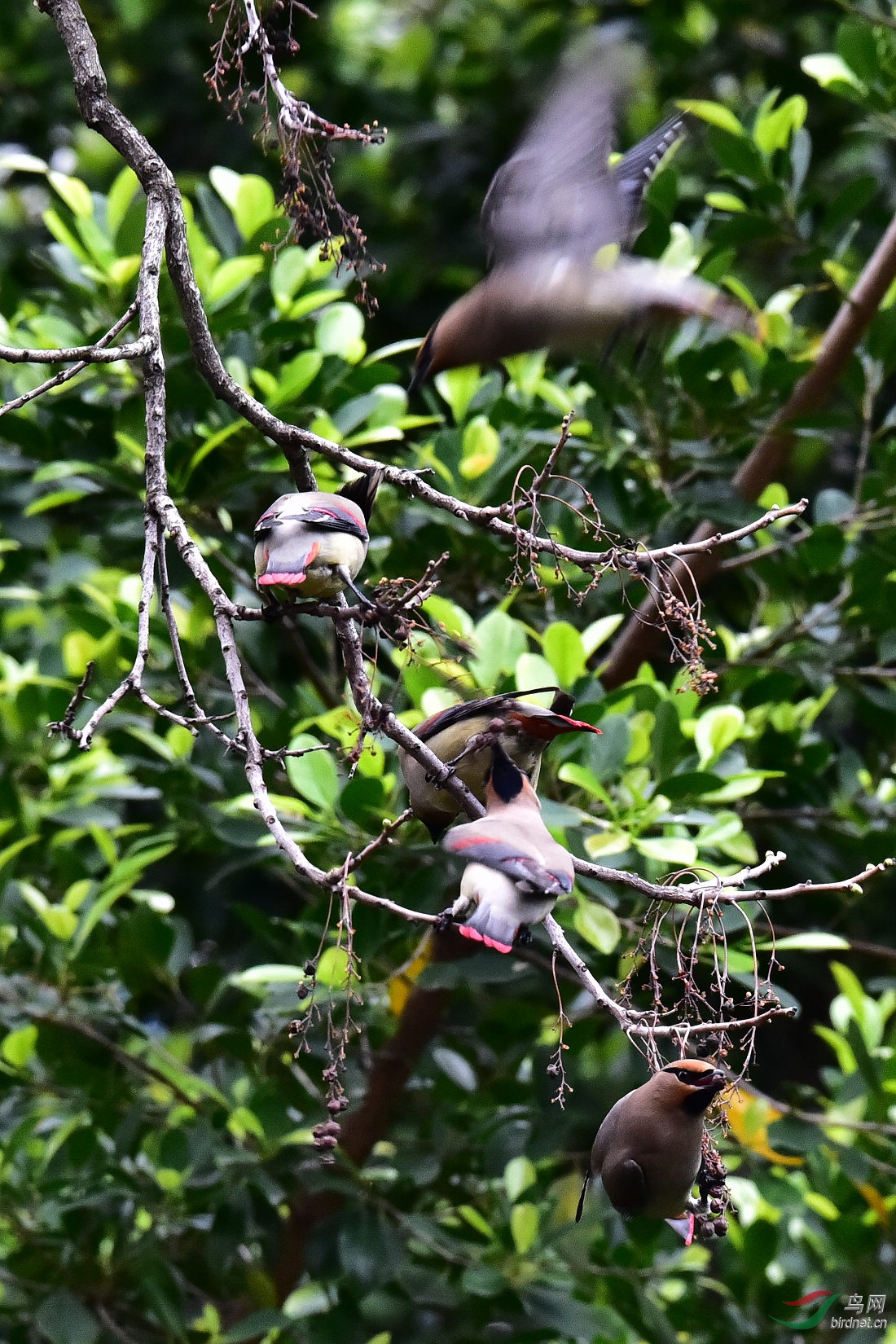 DSC_1311.JPG