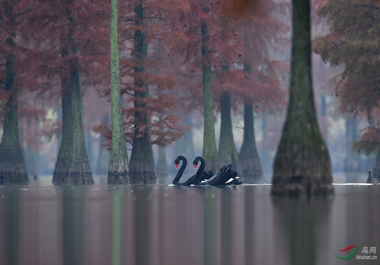 DSC_3508-0-0.jpg