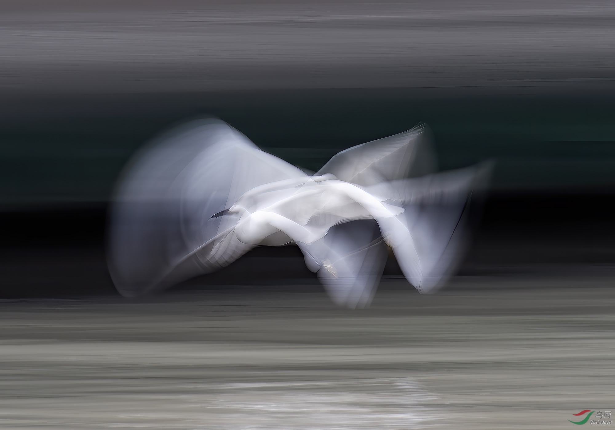 DSC_7637.jpg