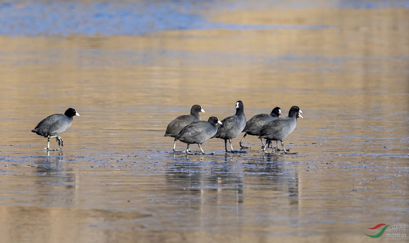 ���϶��飡