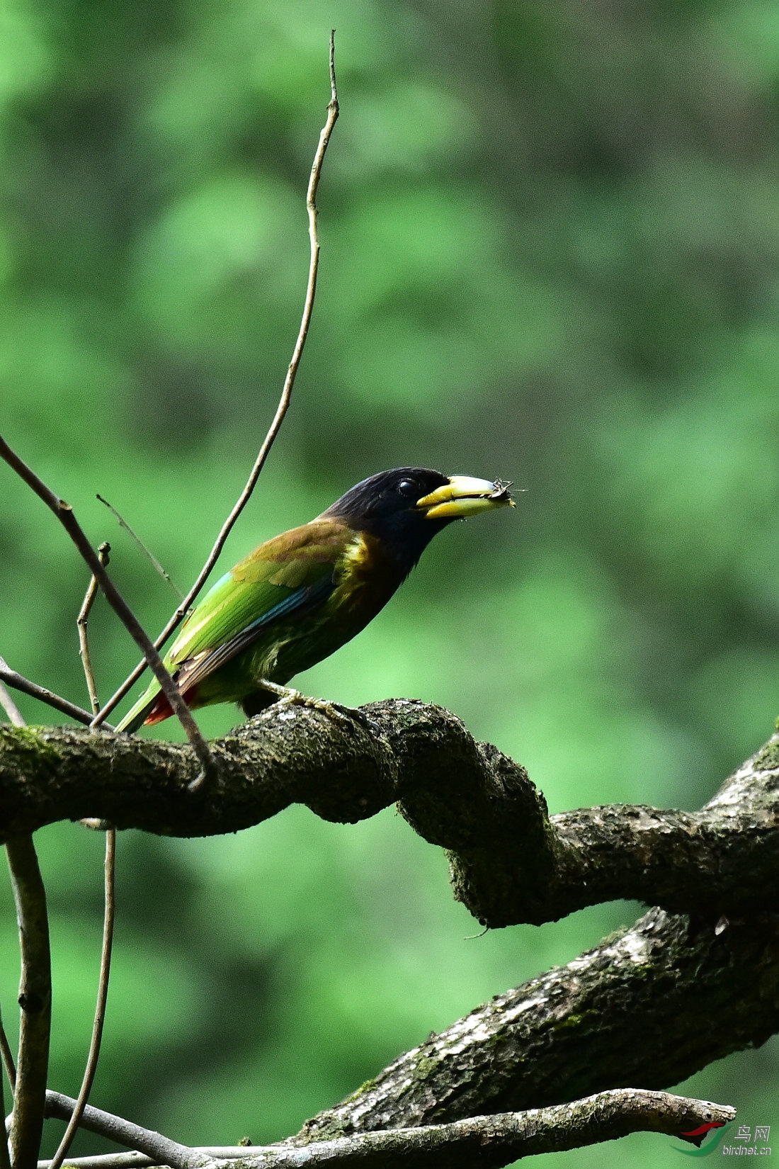 DSC_0164.JPG