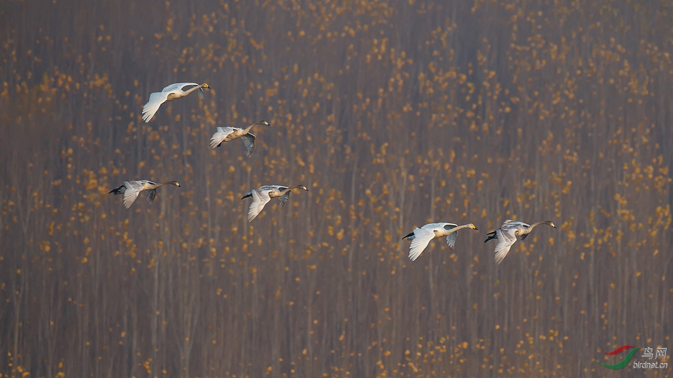 XCG_3131 - ����.jpg