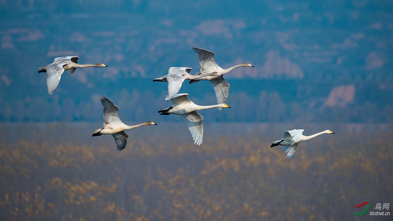 XCG_5973 - ����.jpg