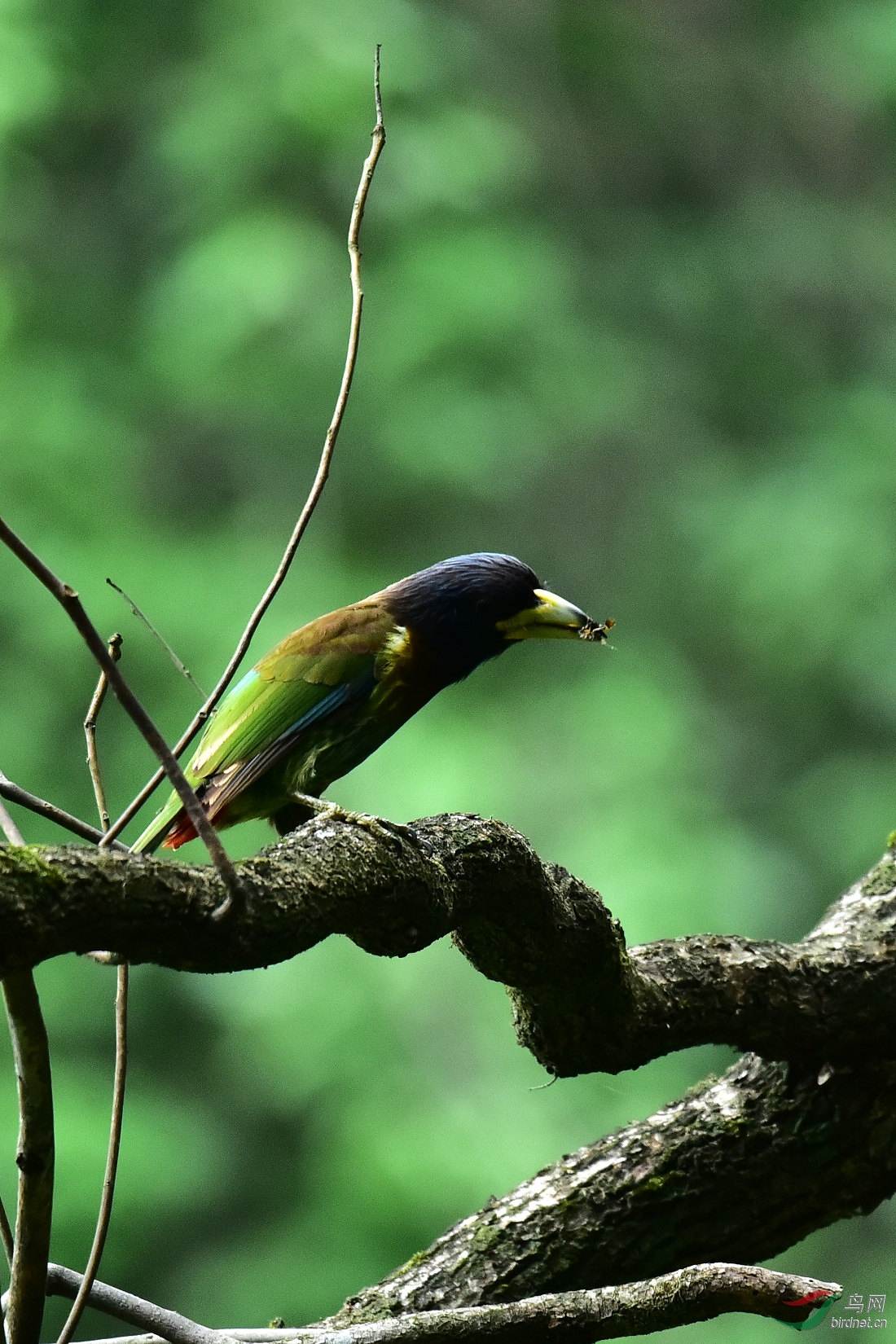DSC_0166.JPG