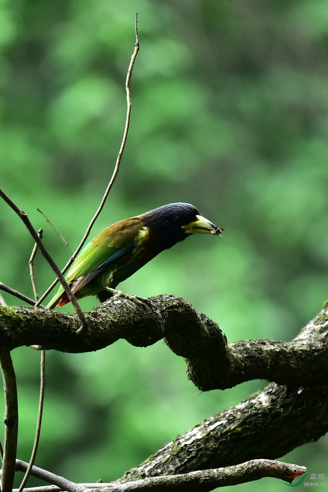 DSC_0167.JPG