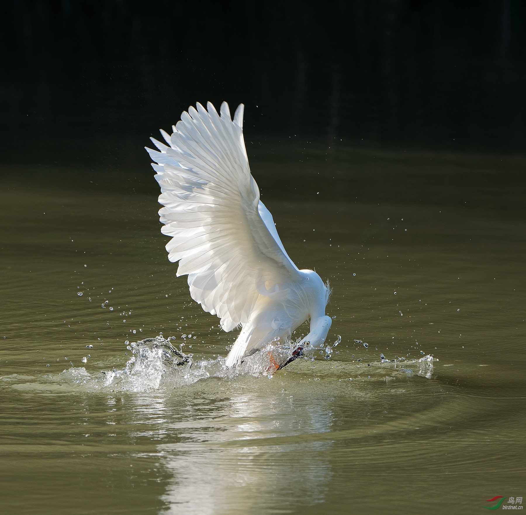 DSC_2872.jpg