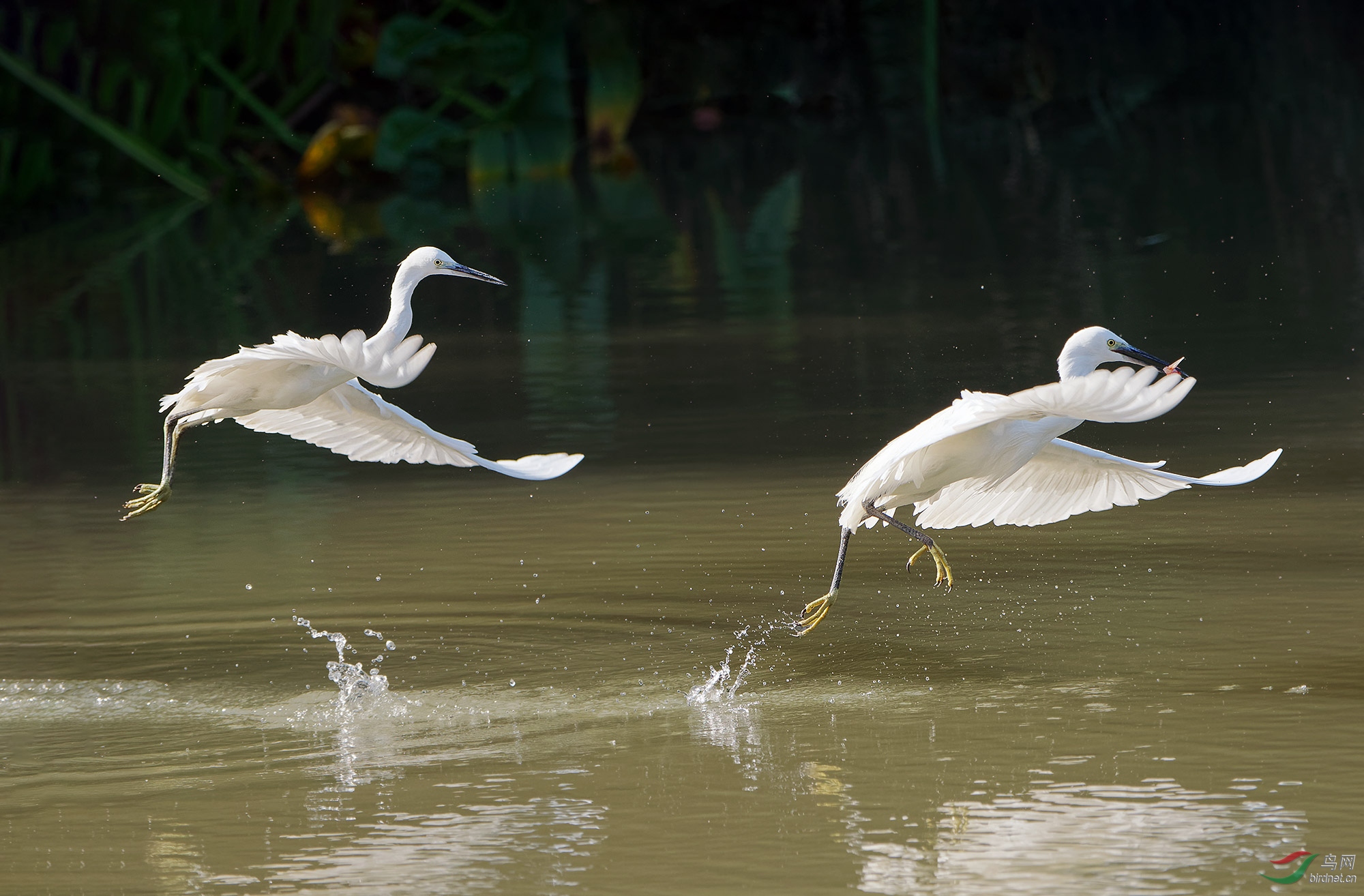 DSC_2983.jpg