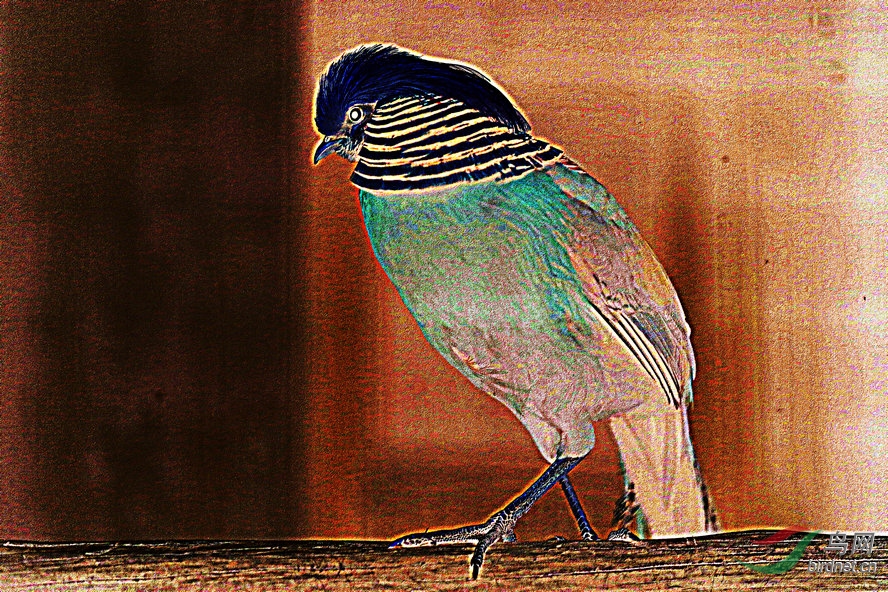 8J6A4708_����_����2_����.jpg
