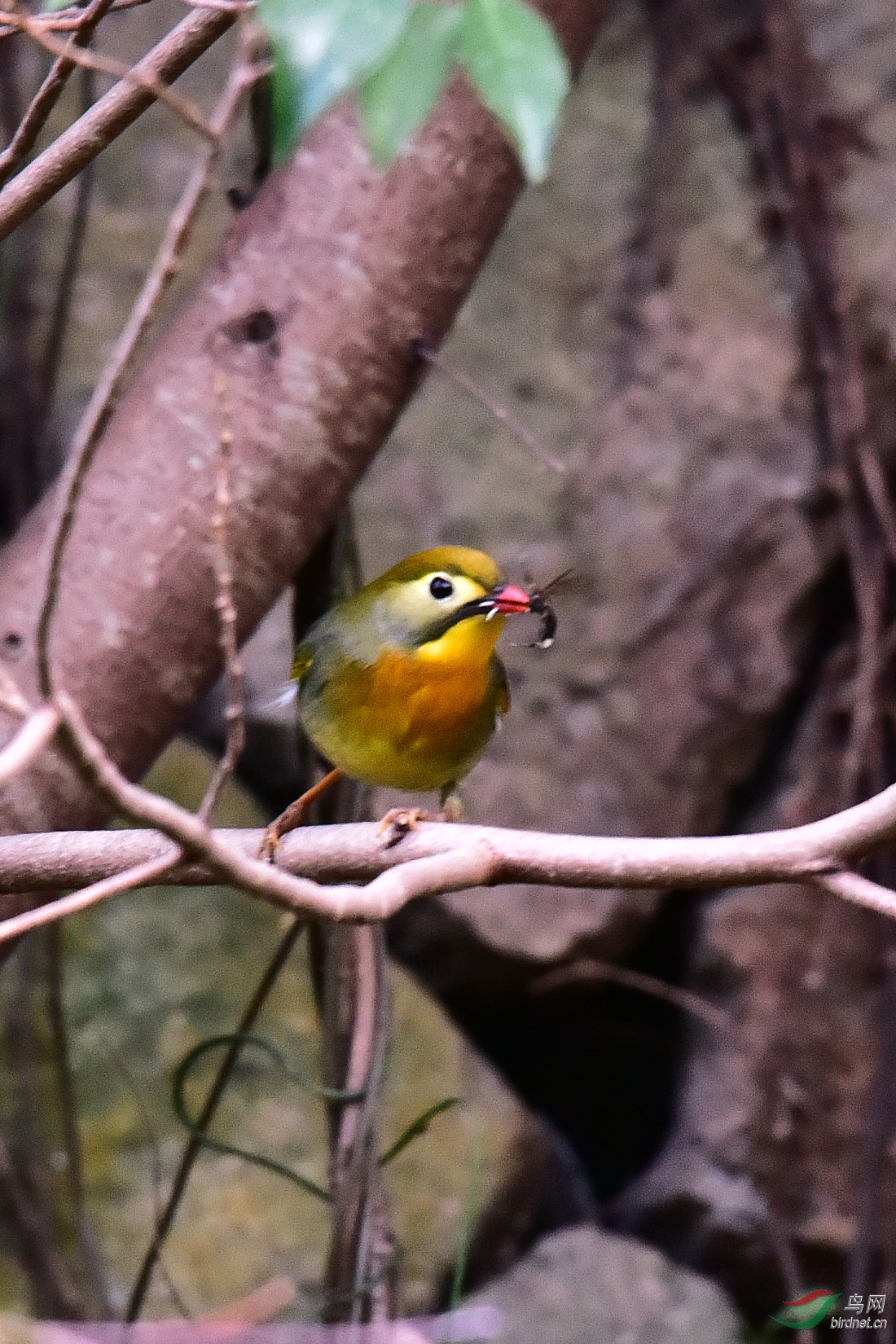 DSC_1331.JPG