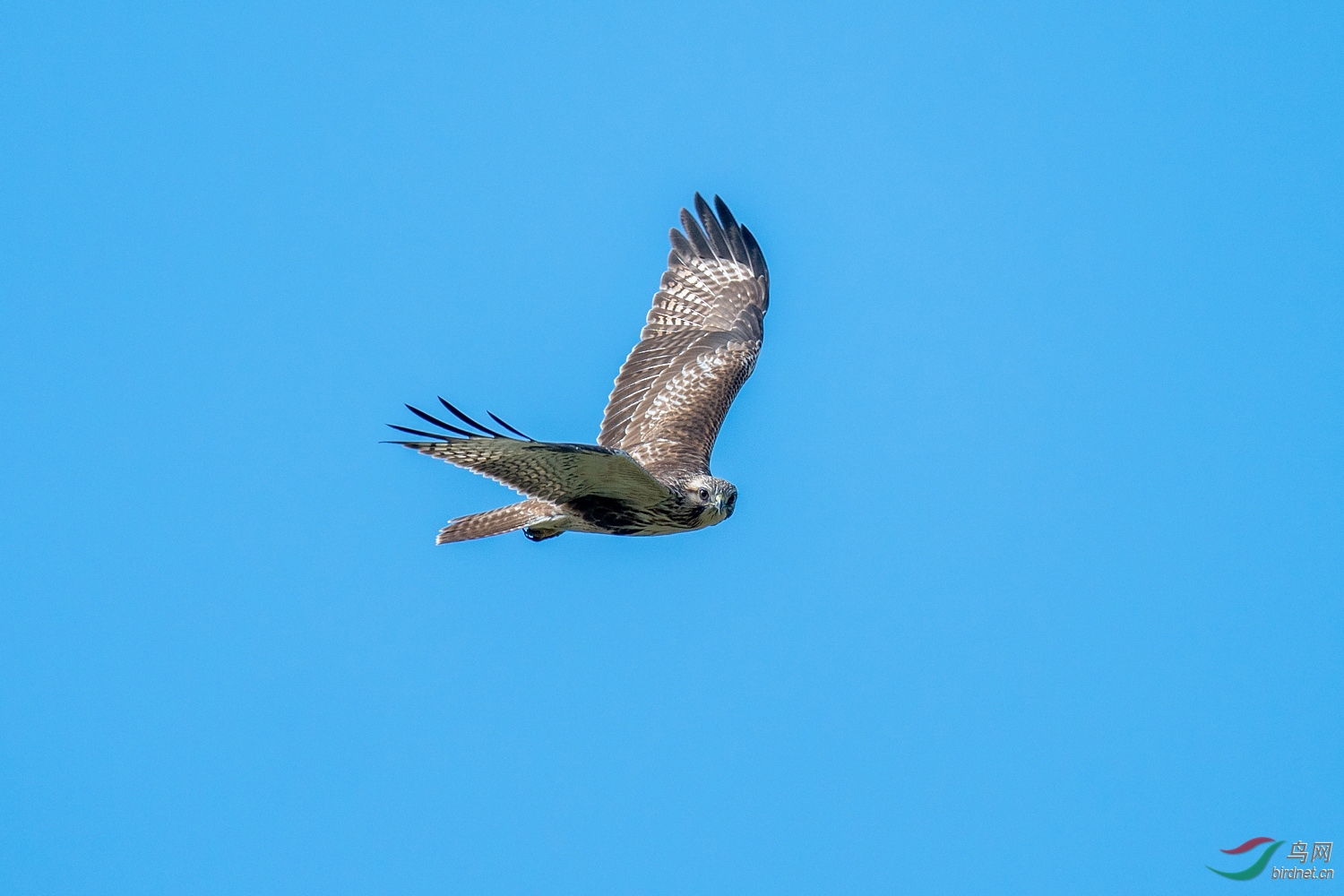 A9D06376a.jpg