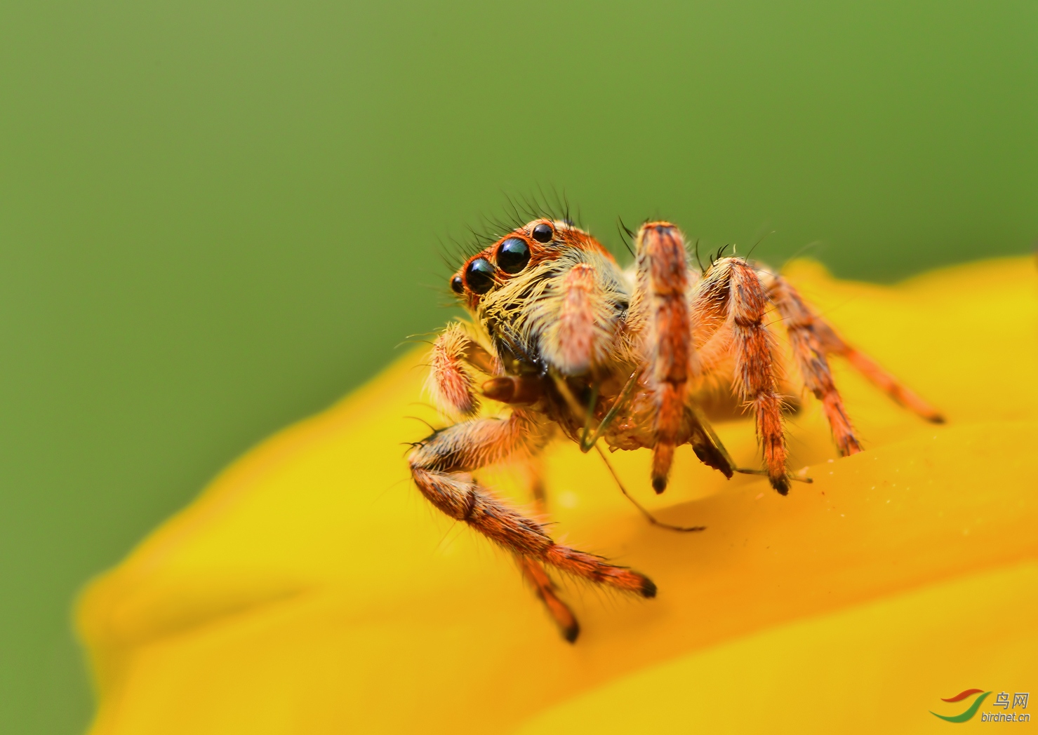 DSC_6818 ��������.jpg