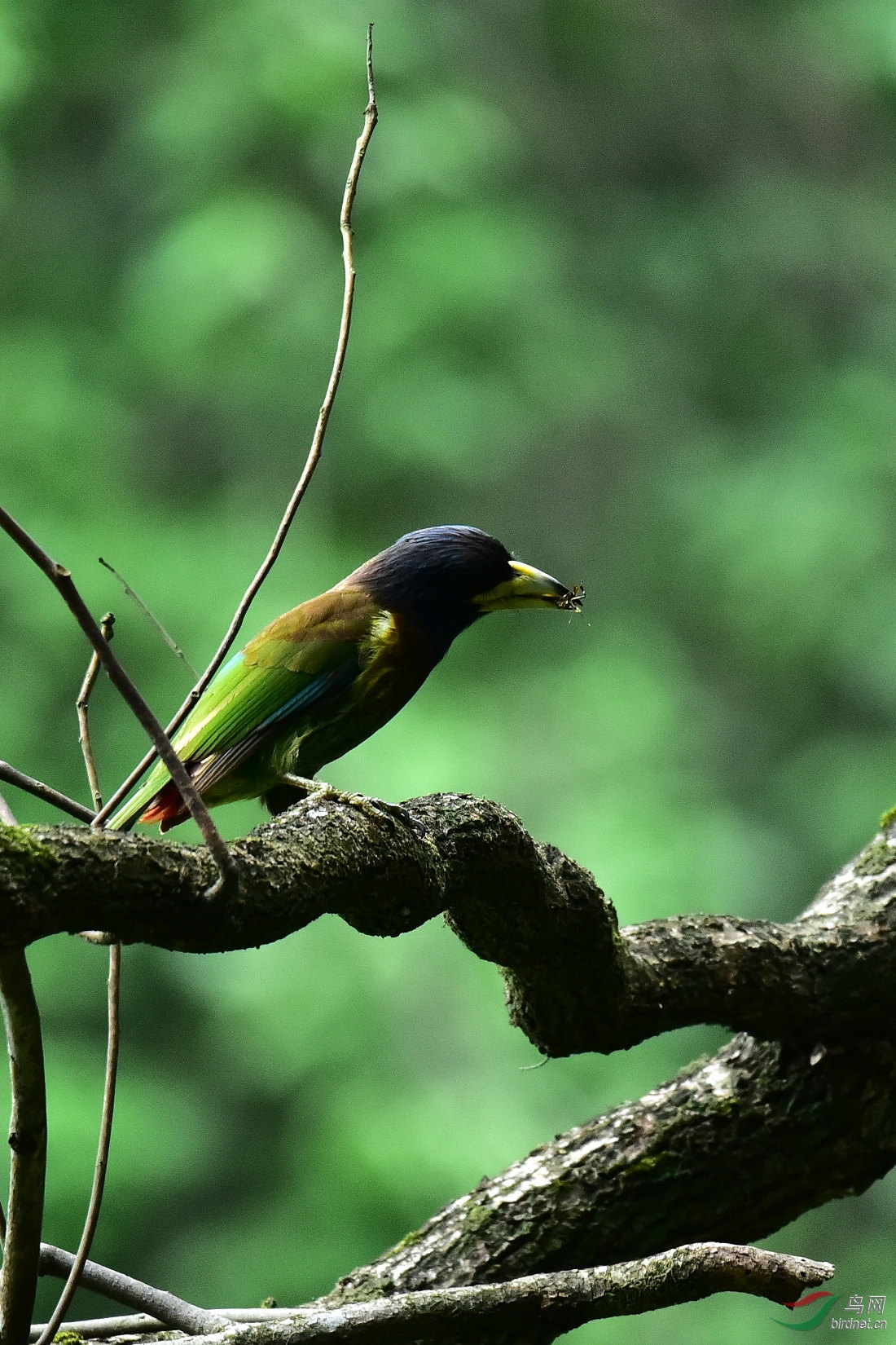 DSC_0179.JPG
