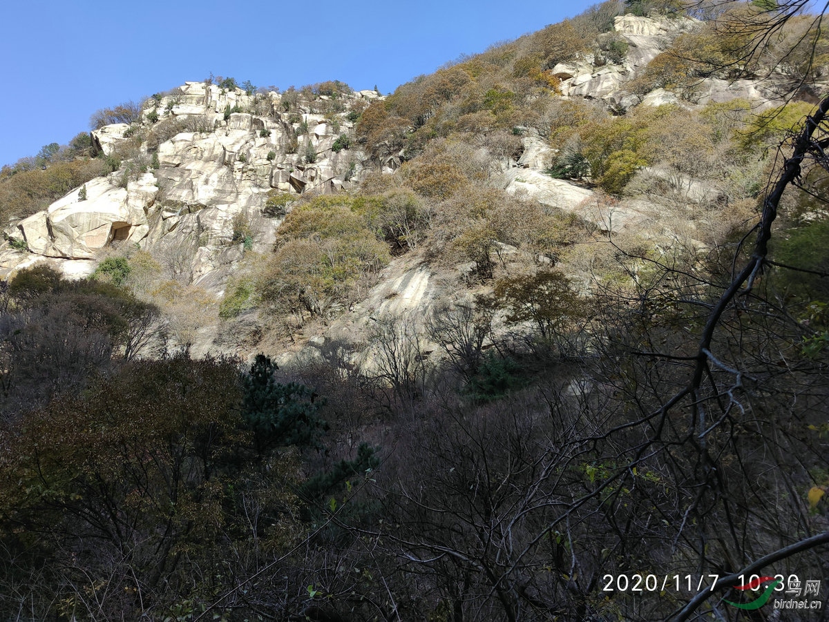 IMG_20201107_103020_����.jpg