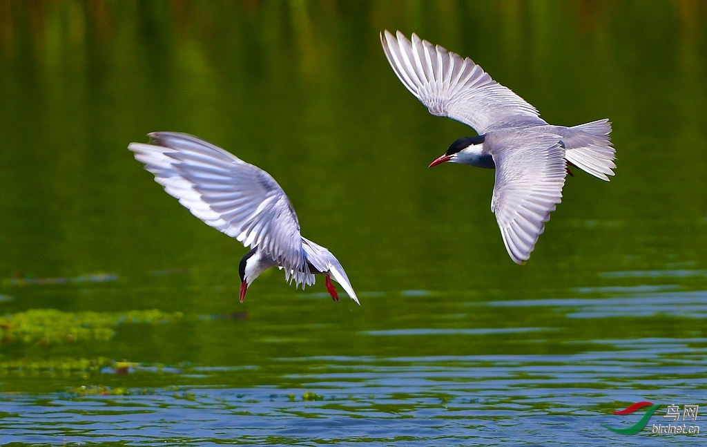 ����  ��ʦ�������̽�.jpg