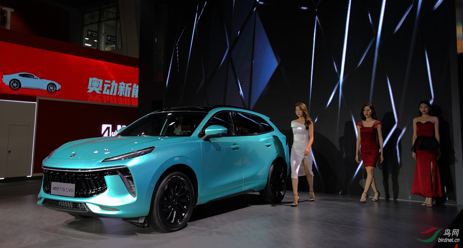 ��ģ����