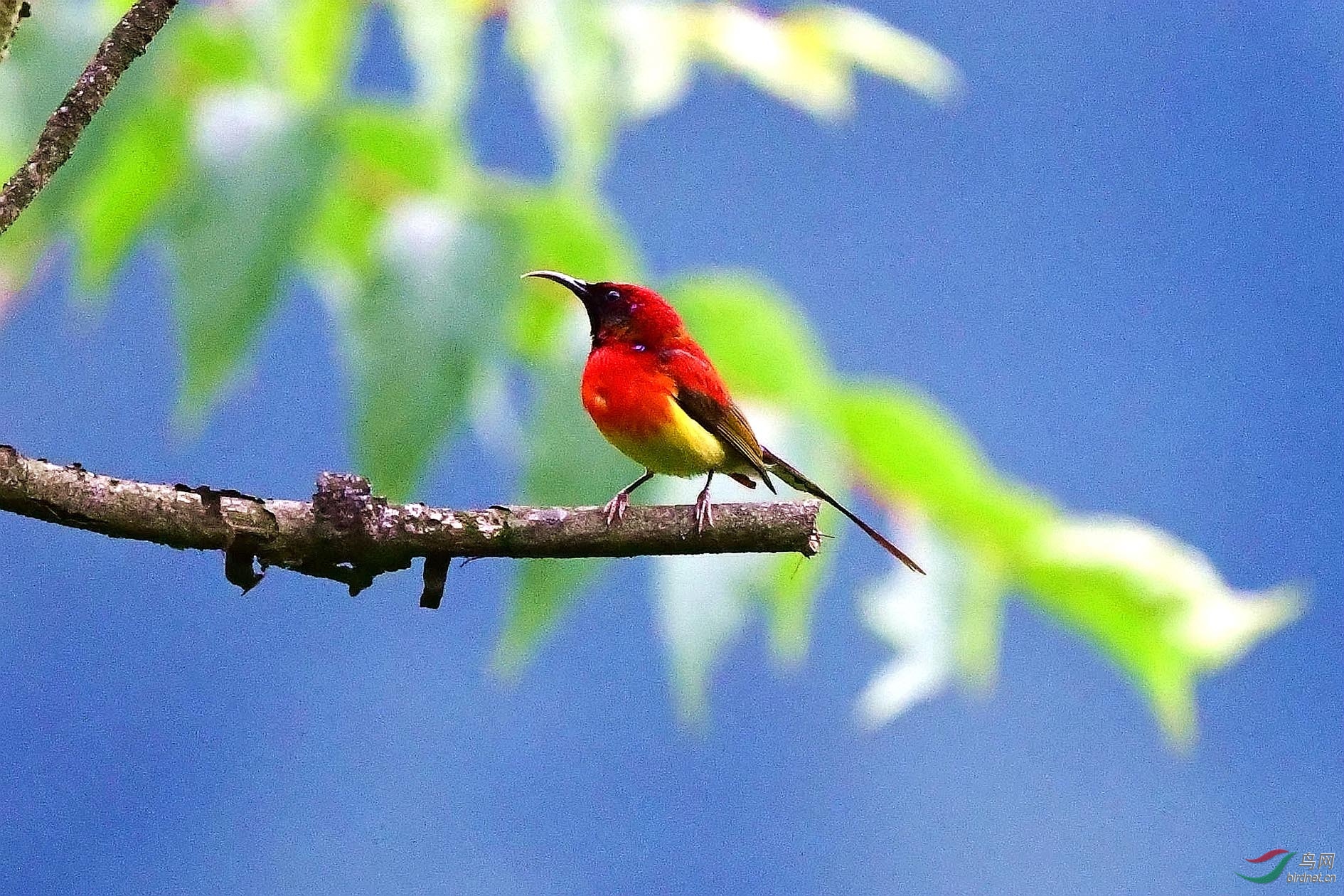 DSC_3501_����.jpg
