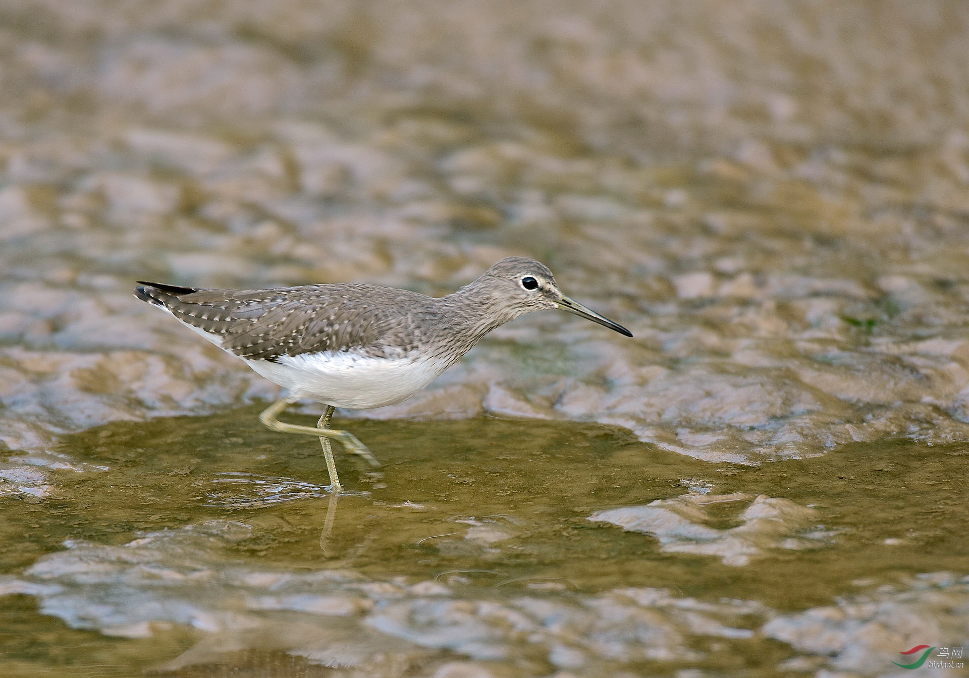 D8I_5928.jpg