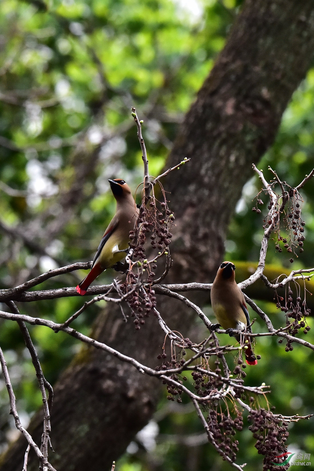 DSC_1341.JPG