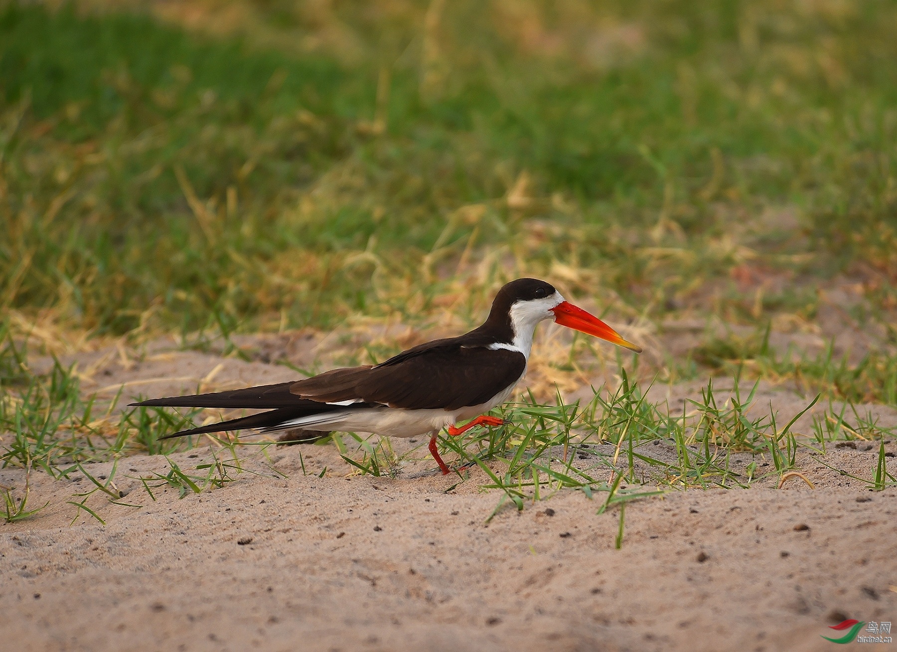 ����ϸ�� ��ʦ�������Ϸ�500.jpg