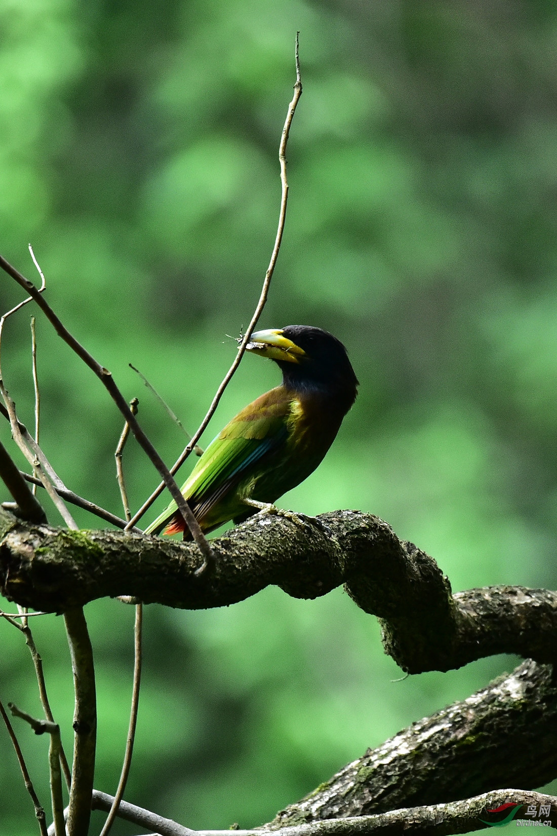 DSC_0189.JPG