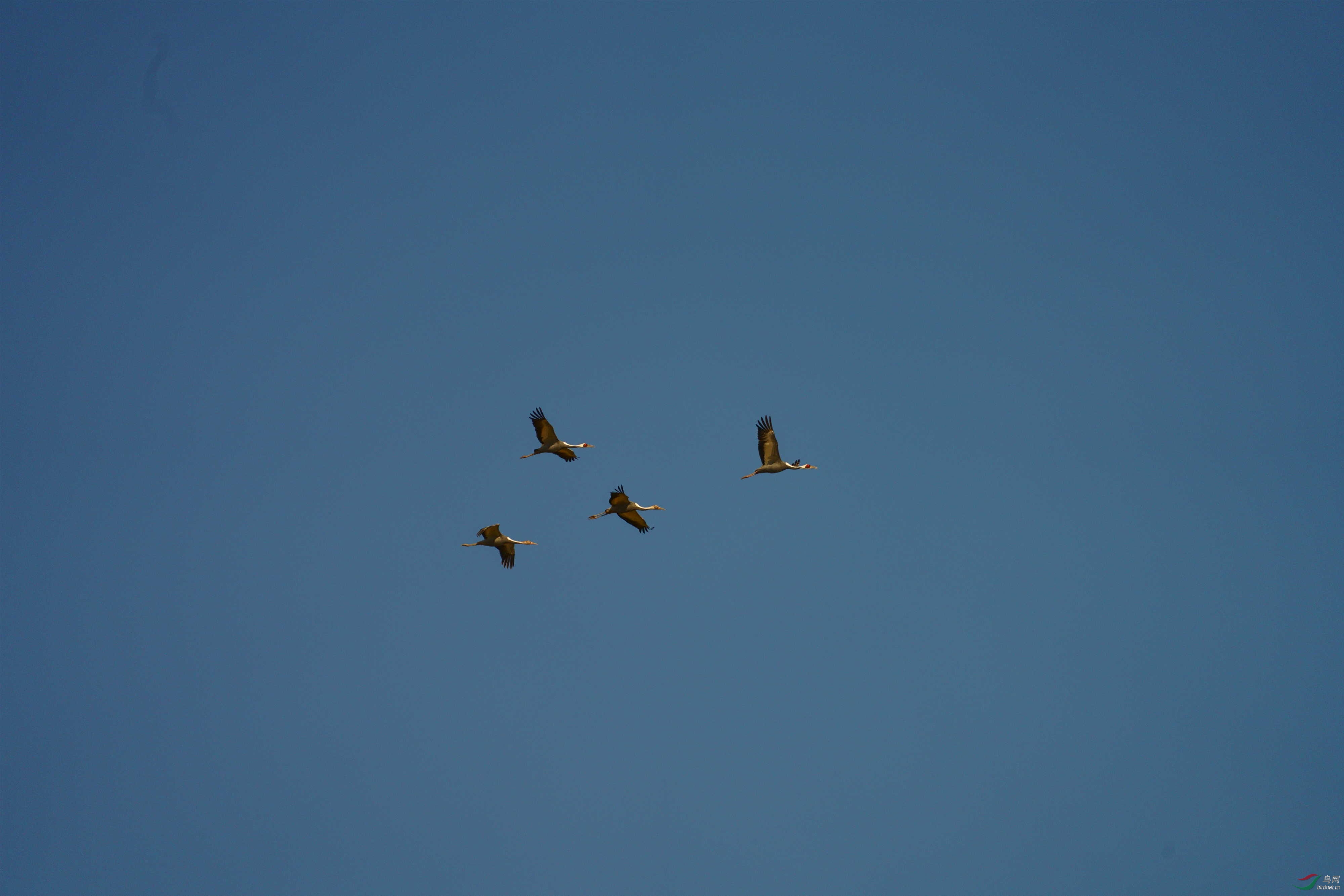 DSC00269.JPG