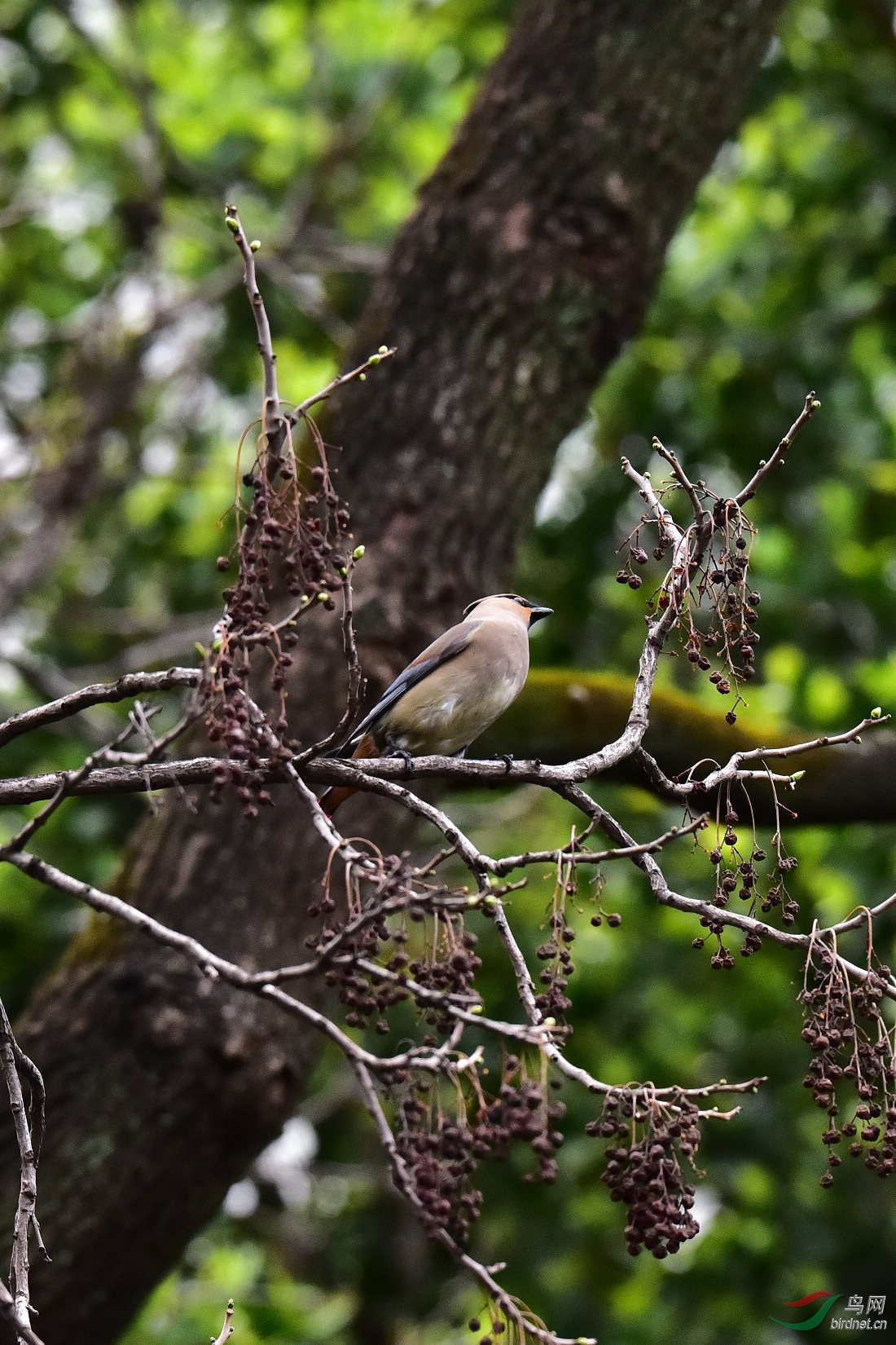 DSC_1350.JPG