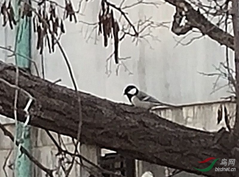 ΢��ͼƬ_20201125212029.jpg
