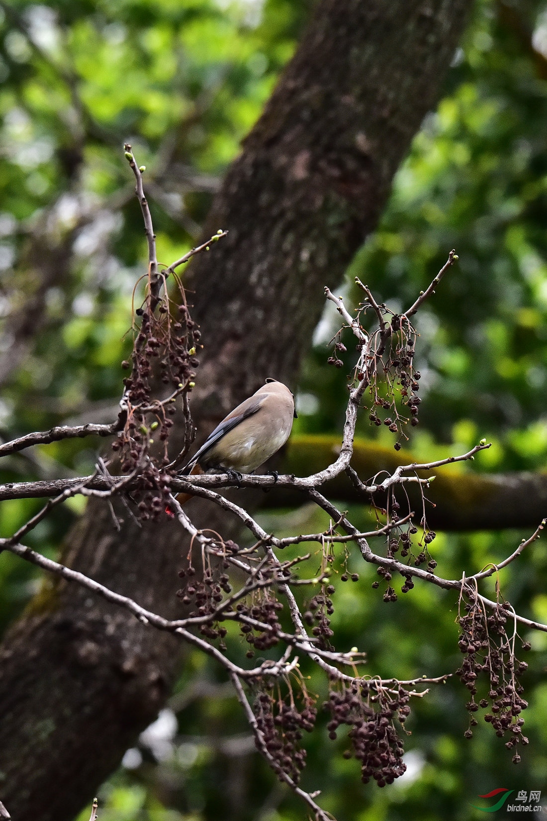 DSC_1351.JPG