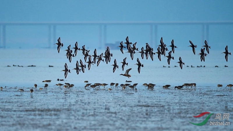 ����֮��