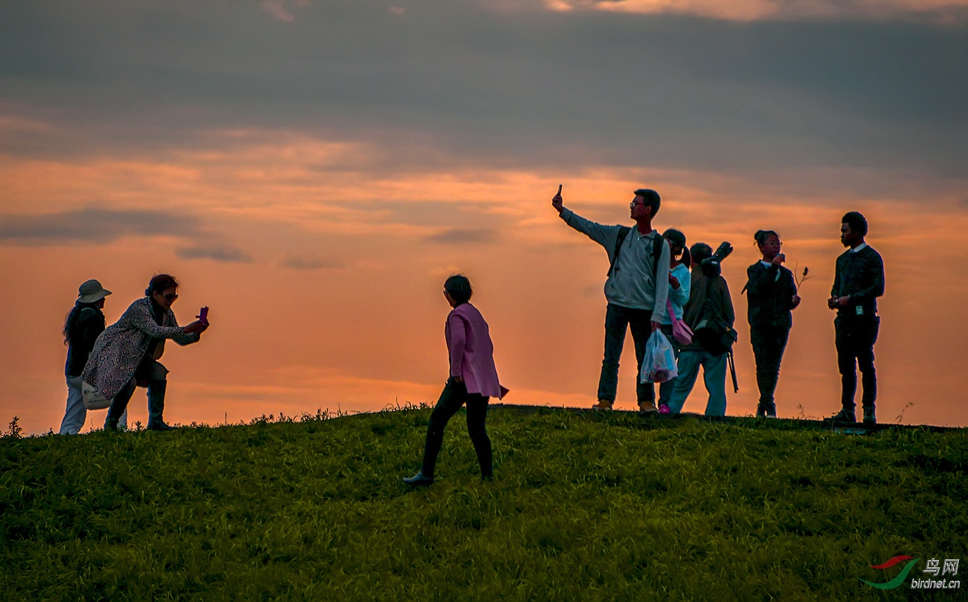 �����ƻ�