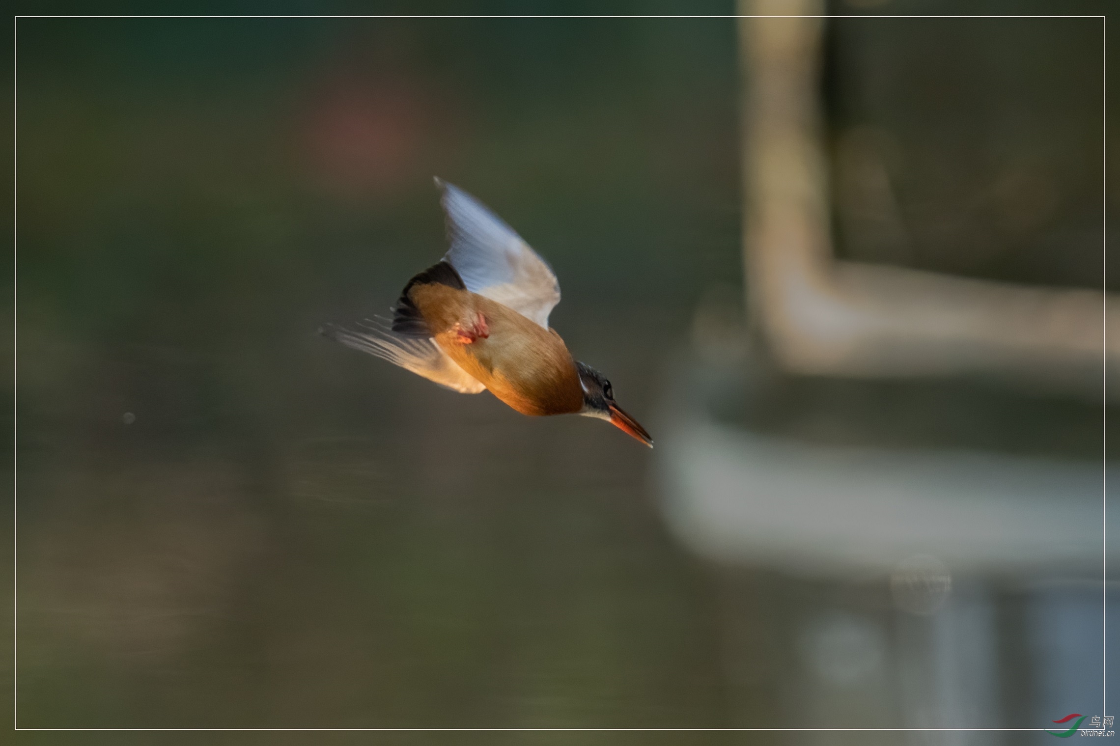 17.8�ף���ͣ����ǰ��