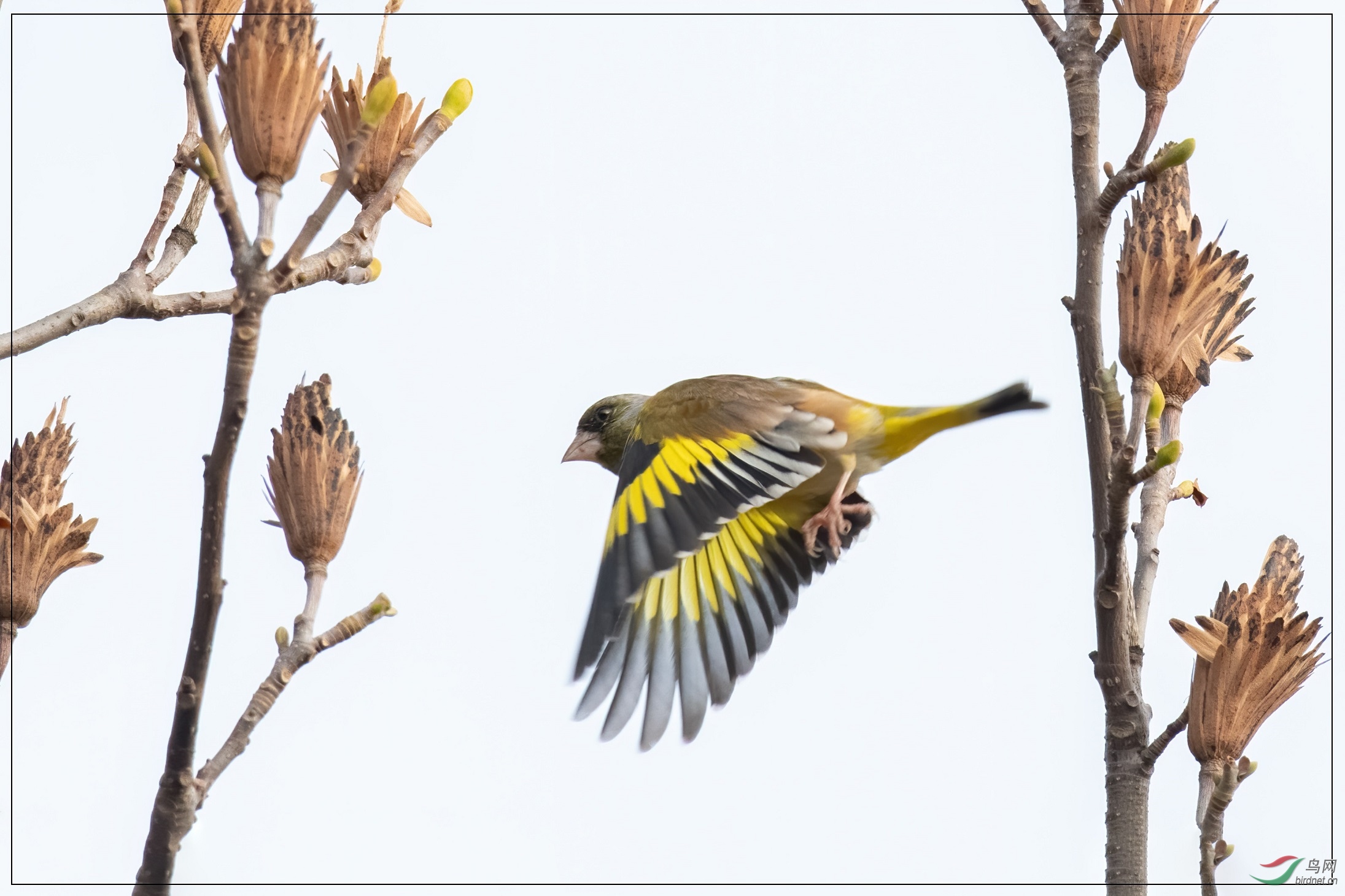 10�ס���Խ��