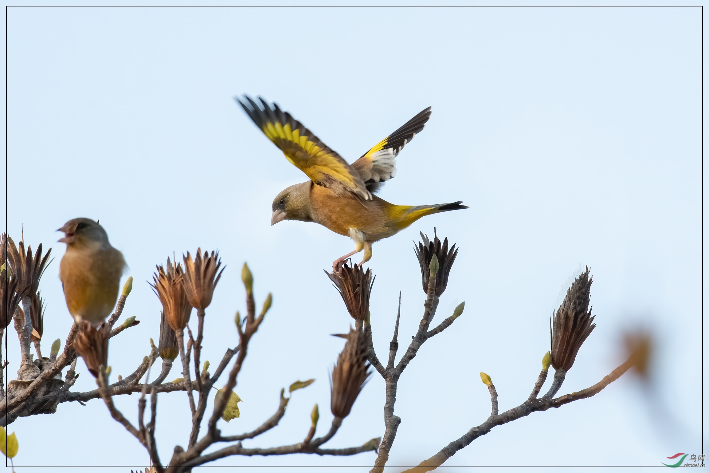 11.9�ס����ߡ�