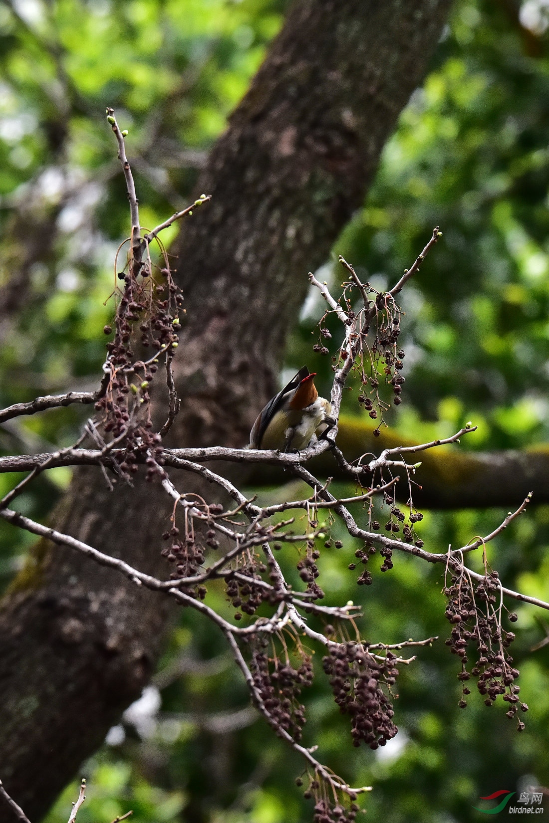 DSC_1353.JPG