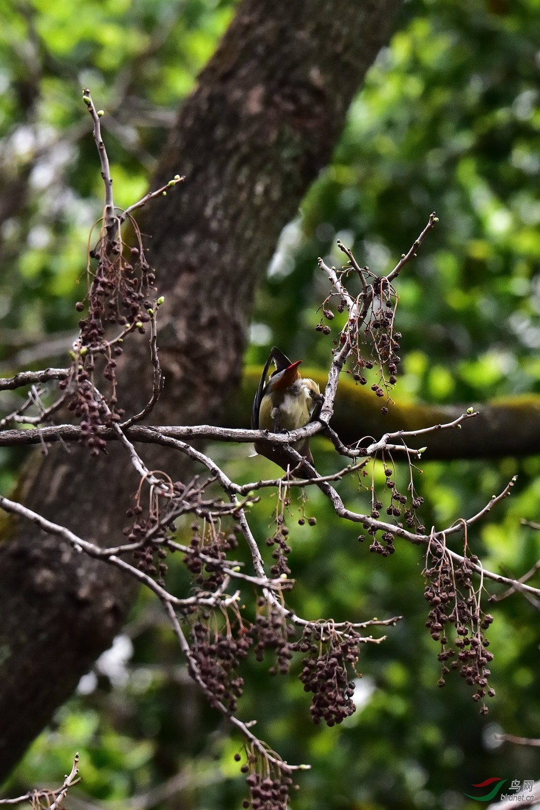 DSC_1354.JPG
