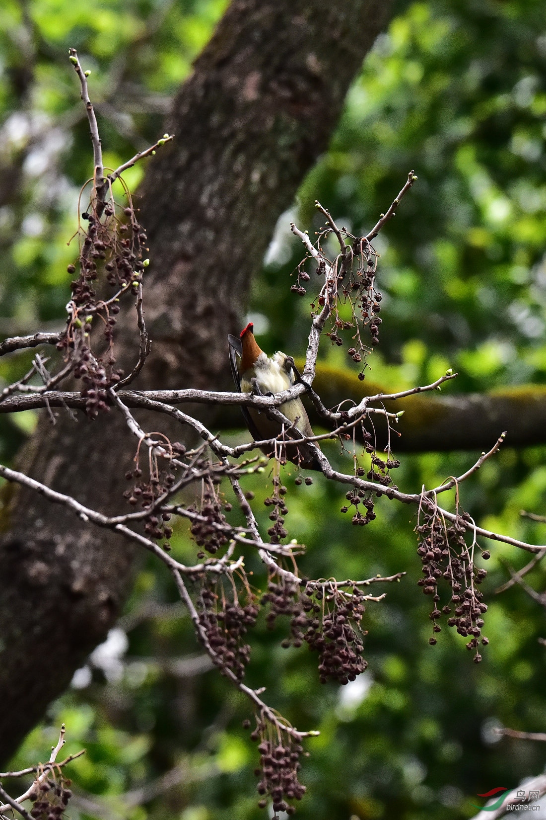 DSC_1355.JPG