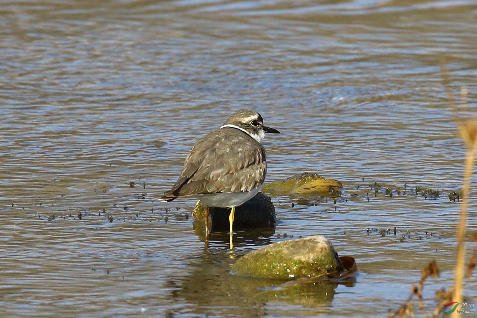 IMG_5609.JPG