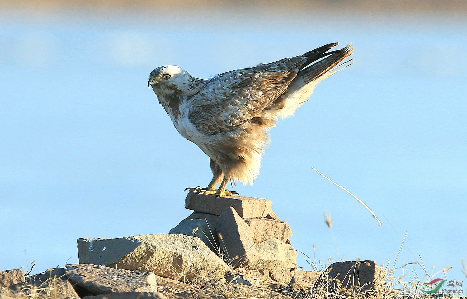 07 - 3685_������